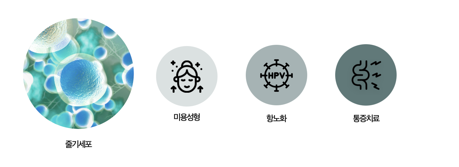 %EC%8A%A4%ED%81%AC%EB%A6%B0%EC%83%B7_2025-07-04_%EC%98%A4%ED%9B%84_3.55.04 줄기세포(SVF) 셀뱅킹, 미래를 준비하는 방법