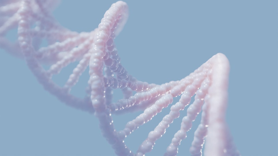 DNA Imaging SVF·ADSC: How Far Are They Expanding Beyond Cosmetics?