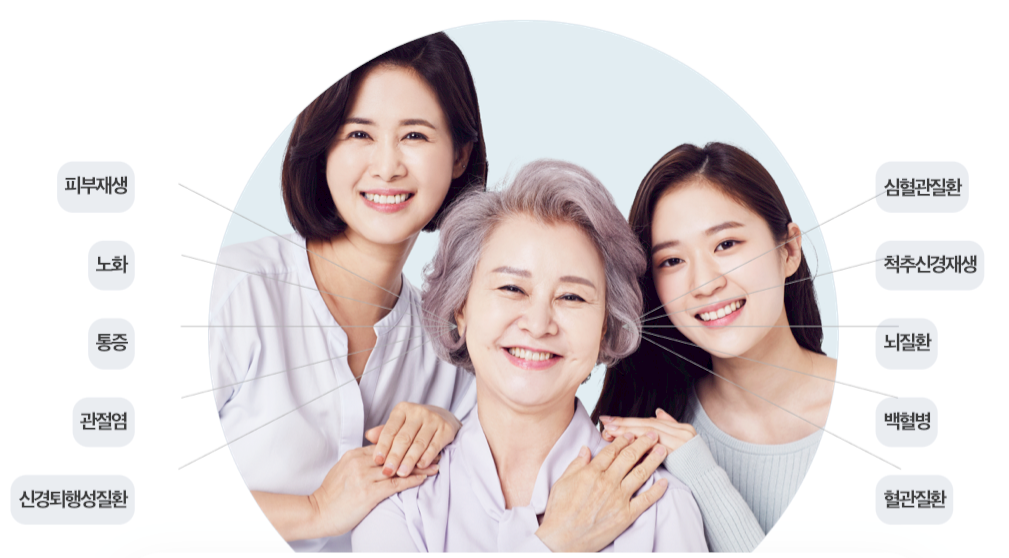 SE-7480e0b9-d10e-4f38-8681-4037e1c24fe9 줄기세포(SVF) 셀뱅킹, 미래를 준비하는 방법