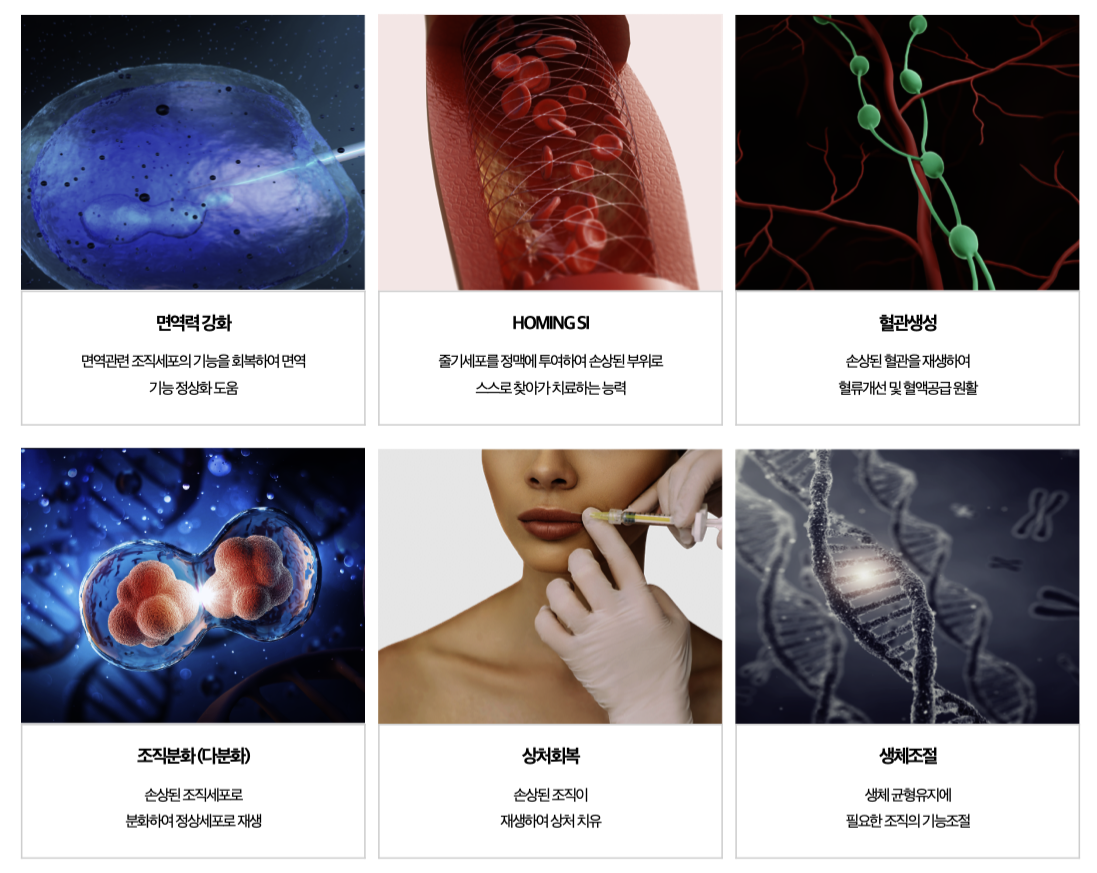 %EC%8A%A4%ED%81%AC%EB%A6%B0%EC%83%B7_2025-07-07_%EC%98%A4%ED%9B%84_4.10.20 줄기세포(SVF) 셀뱅킹, 미래를 준비하는 방법