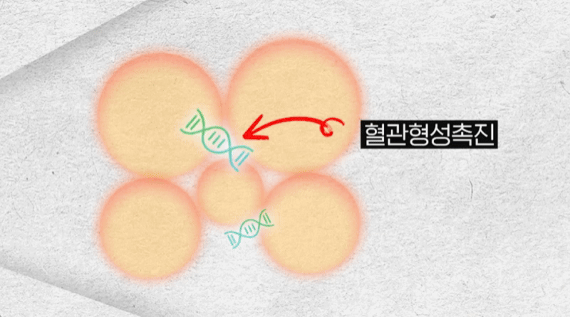 ezgif.com-video-to-gif-converter-1 자가지방가슴성형 생착률, 병원마다 차이 나는 이유