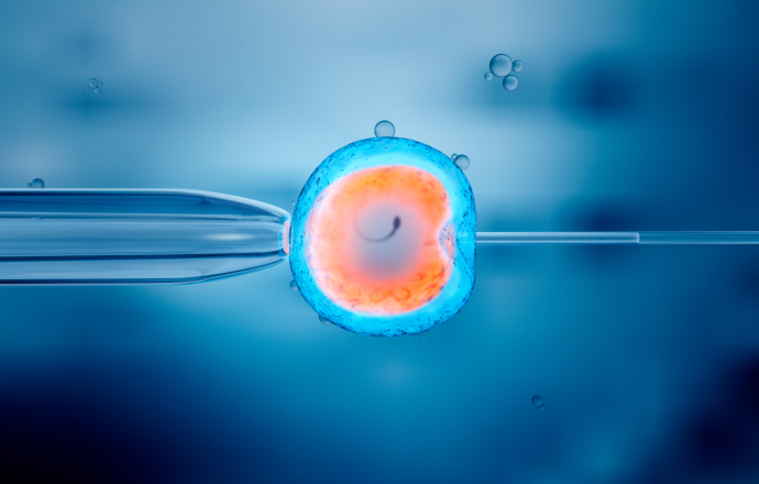 Cell Injection Needle Stem Cell (SVF) Banking — Principles, Purification and Storage Processes, and Current Research Status